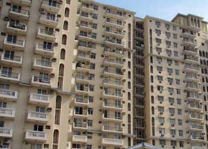 Credai India